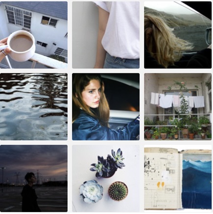 Screenshot of a moody, blue Tumblr wall from 2014, featuring Lana del Rey and cacti plants in various pictures.